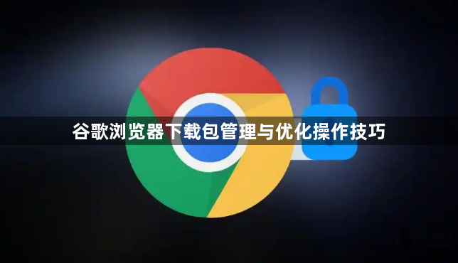 谷歌浏览器下载包管理与优化操作技巧1