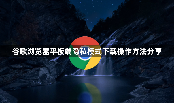 谷歌浏览器平板端隐私模式下载操作方法分享1
