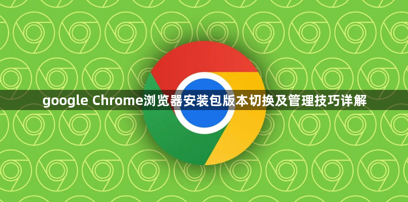 google Chrome浏览器安装包版本切换及管理技巧详解1