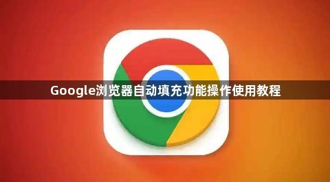 Google浏览器自动填充功能操作使用教程1