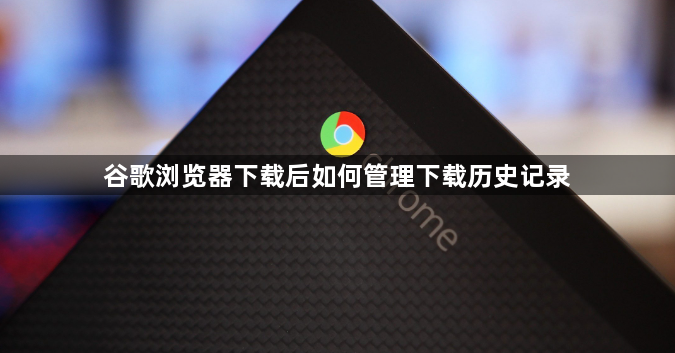 谷歌浏览器下载后如何管理下载历史记录1