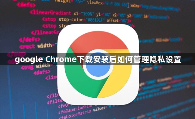 google Chrome下载安装后如何管理隐私设置1