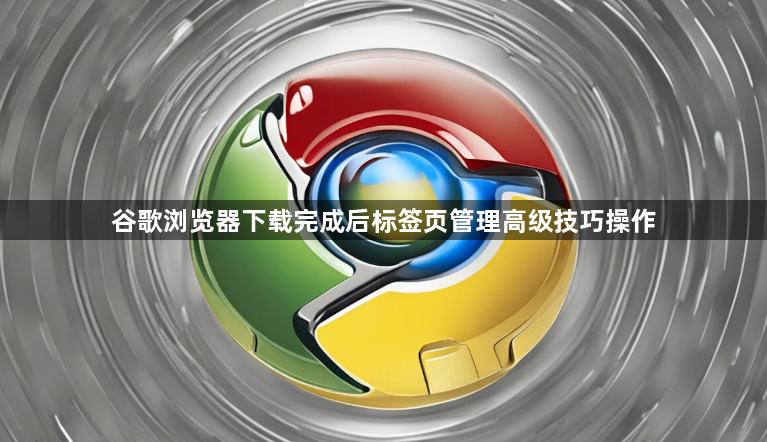 谷歌浏览器下载完成后标签页管理高级技巧操作1