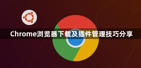 Chrome浏览器下载及插件管理技巧分享1